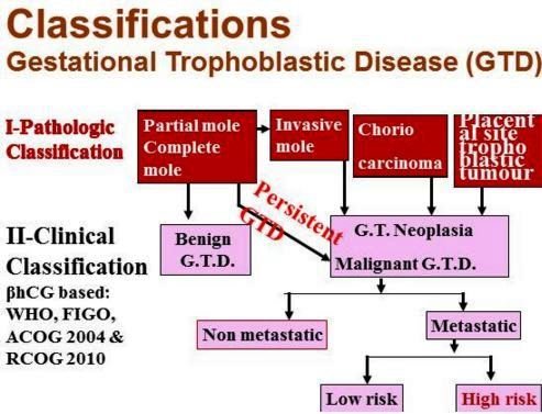 gestational trophoblastic disease classification