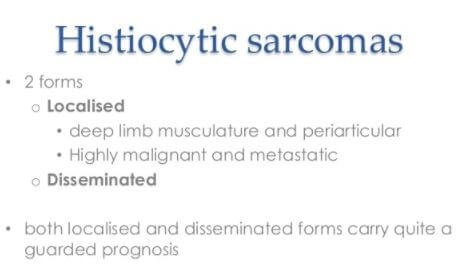 Histiocytic Sarcoma Picture 2